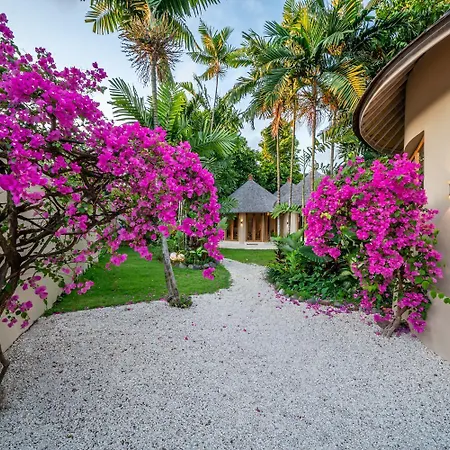 Villa Meraki, 6Br, Incl Breakfast, Heart Of Seminyak, Walking Distance To Restaurants, Bars And Shops, Tropical Garden