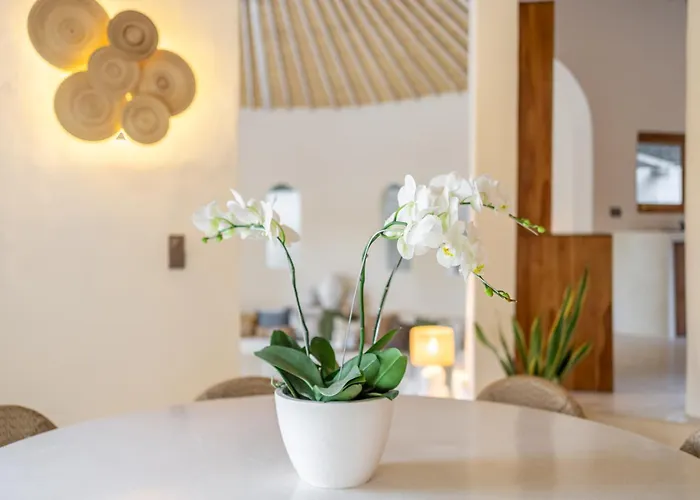 Meraki, 6br, Incl Breakfast, Heart Of Seminyak, Walking Distance To Restaurants, Bars And Shops, Tropical Garden Villa